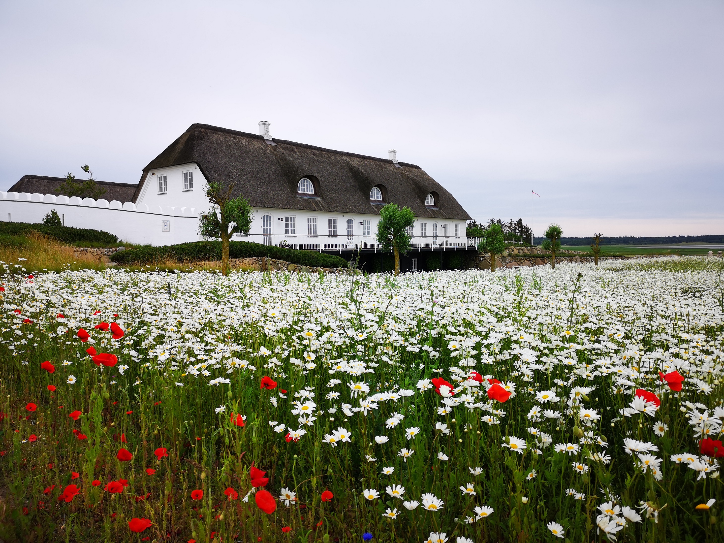 Summertime in Denmark, Esbjerg.jpg